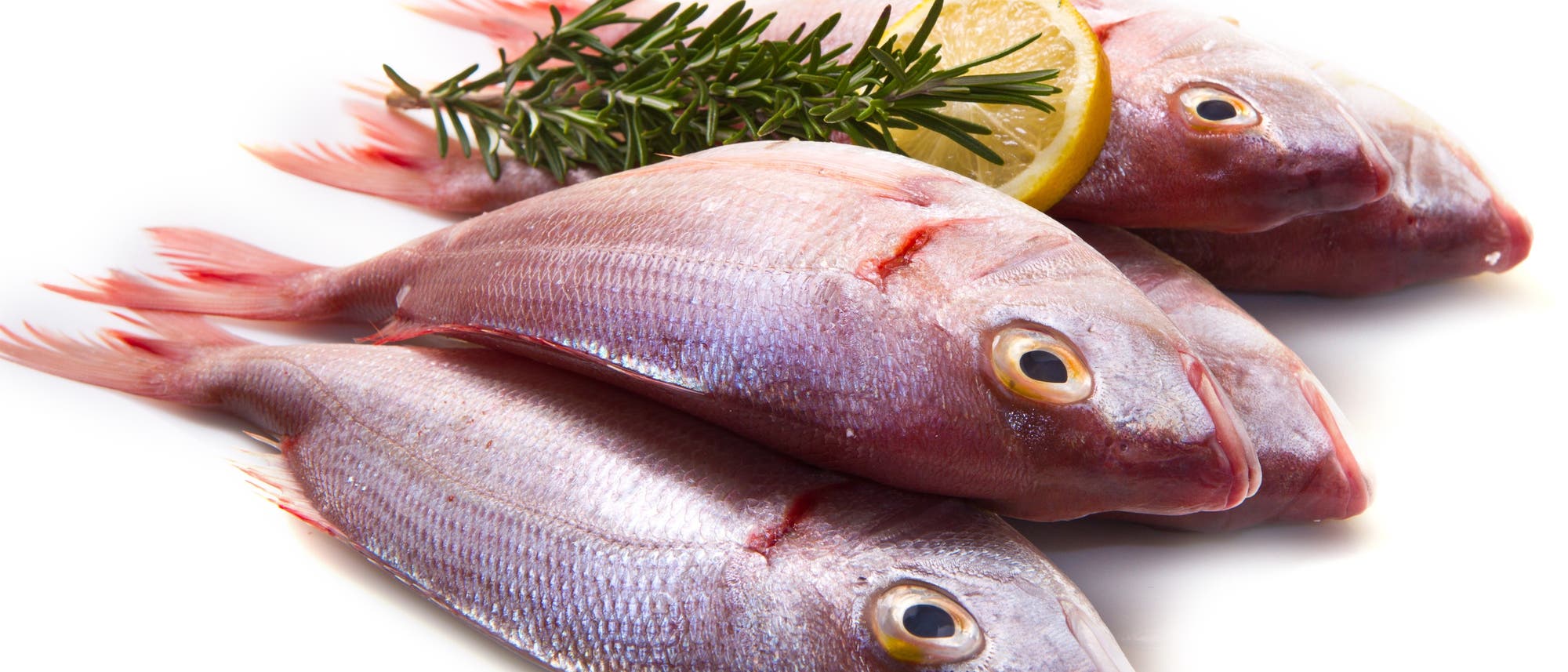 Quecksilber in Fisch Quecksilber in Fisch