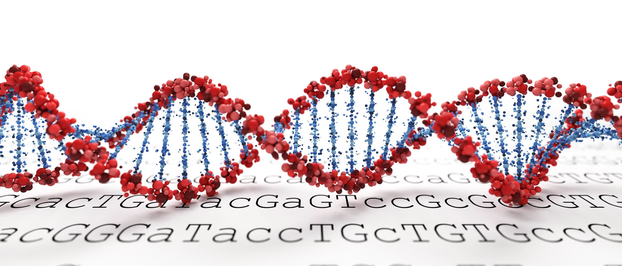DNA DNA