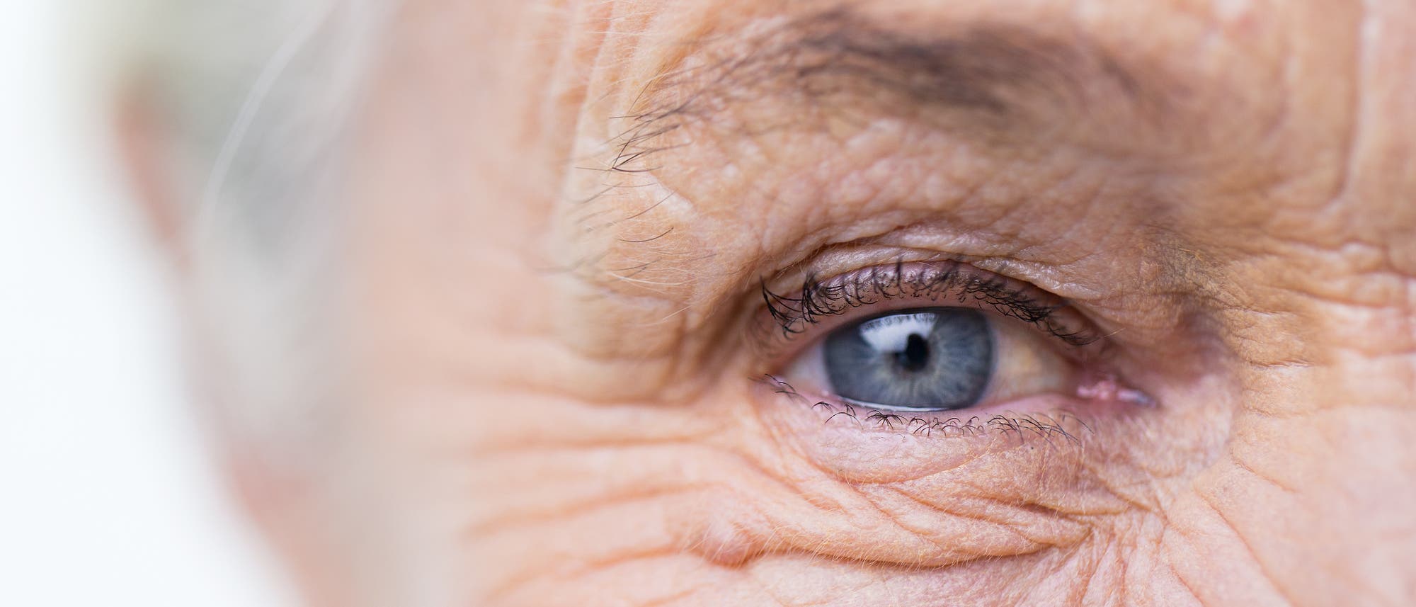 Auge und Teil des Gesichts einer älteren Frau Auge und Teil des Gesichts einer älteren Frau