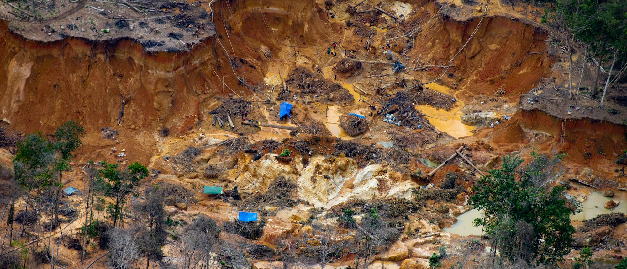 Bei einem berflug ber Yanomami-Land entdeckte Greenpeace zahlreiche illegale Goldminen