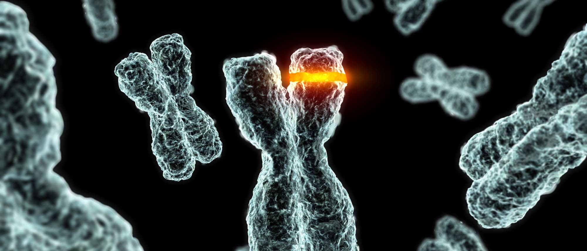Genregulation Genregulation