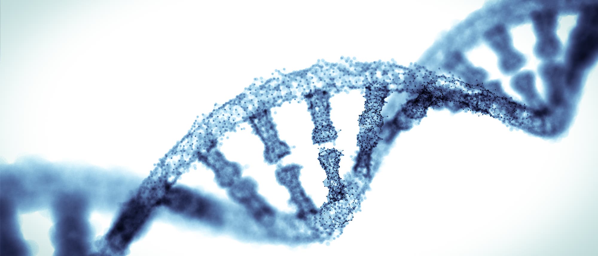 Genome Editing Genome Editing