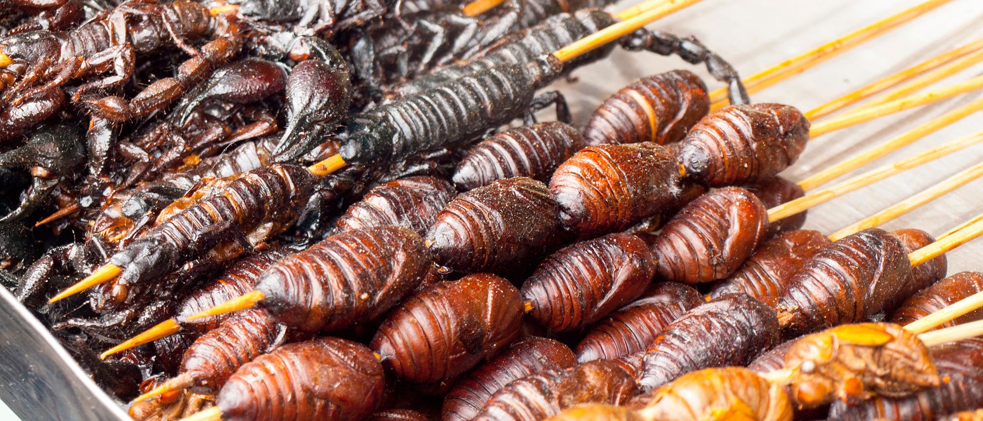 Verschiedene geröstete Insekten auf Holzspießen Verschiedene geröstete Insekten auf Holzspießen