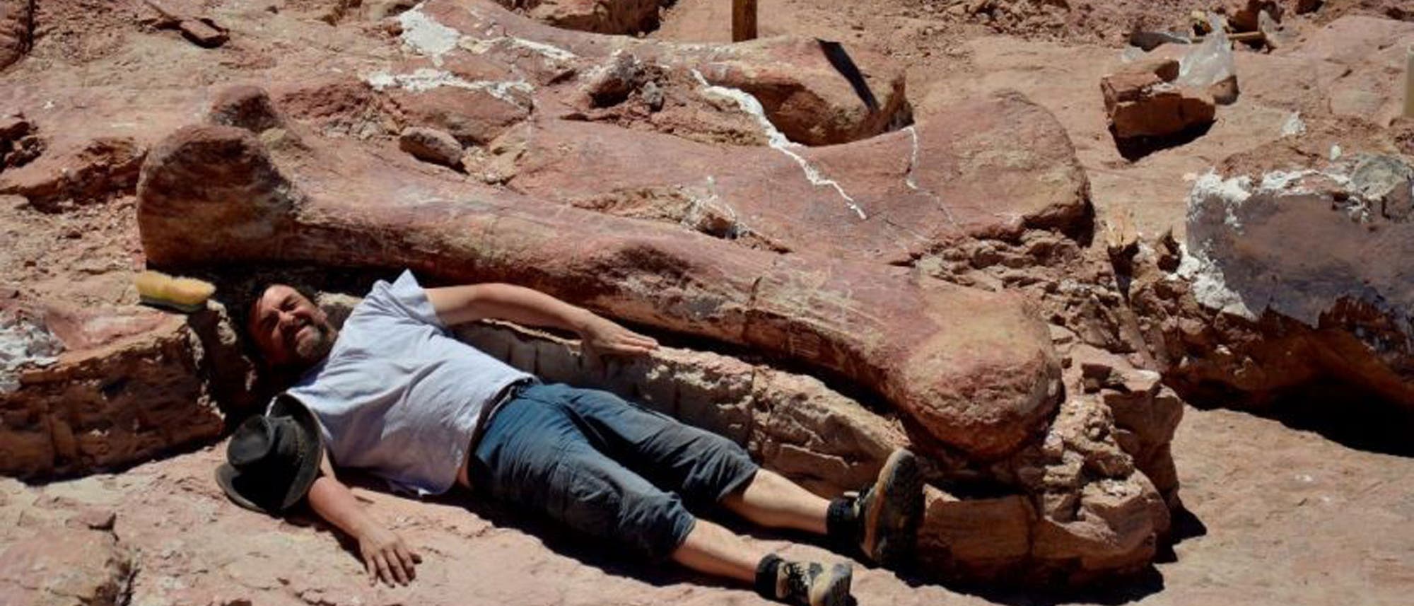 Gigantosaurier - ein noch namenloser Riese aus Patagonien Gigantosaurier - ein noch namenloser Riese aus Patagonien