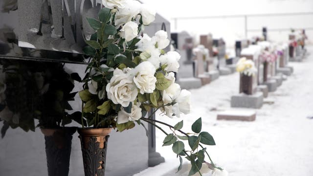 weiße Rosen an Grabstein im Winter
