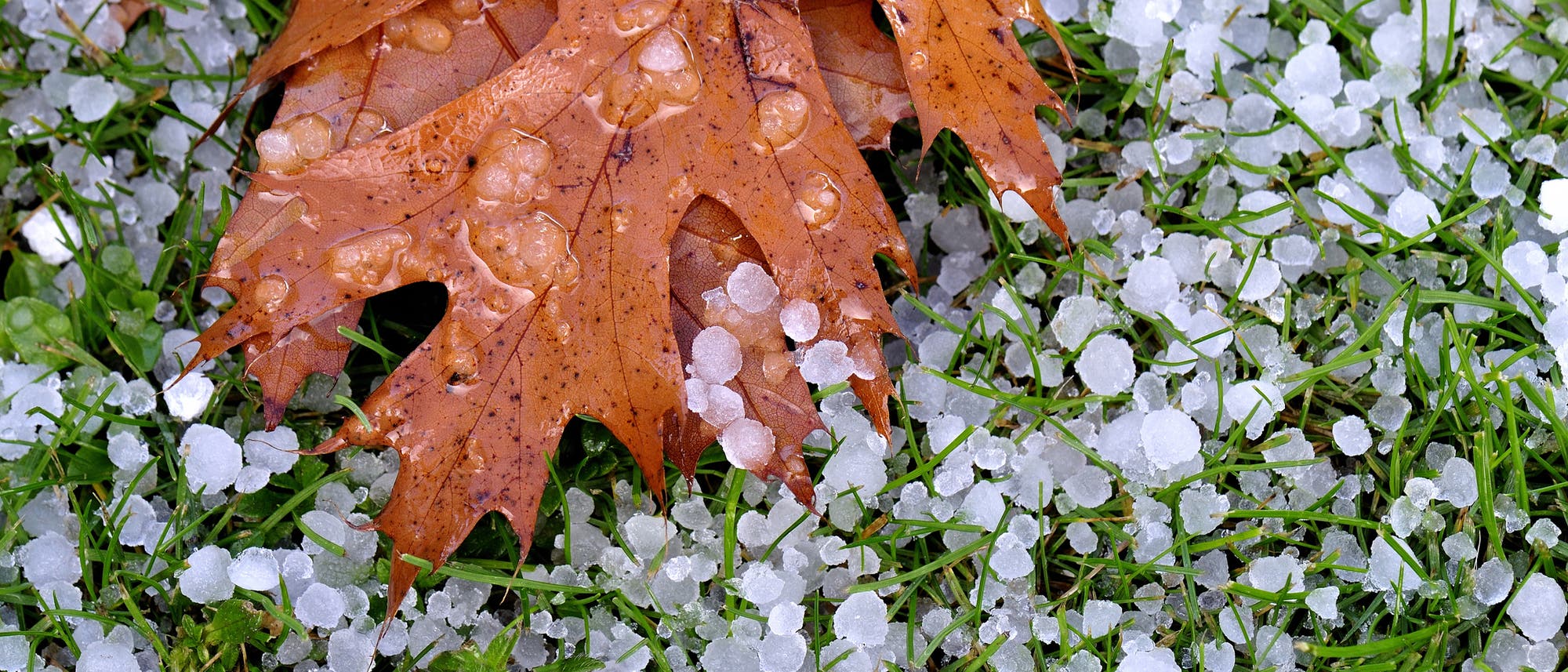 Regen, Hagel, Graupel, Schnee - Herbststürme bringen Niederschlag in allen Formen. Regen, Hagel, Graupel, Schnee - Herbststürme bringen Niederschlag in allen Formen.