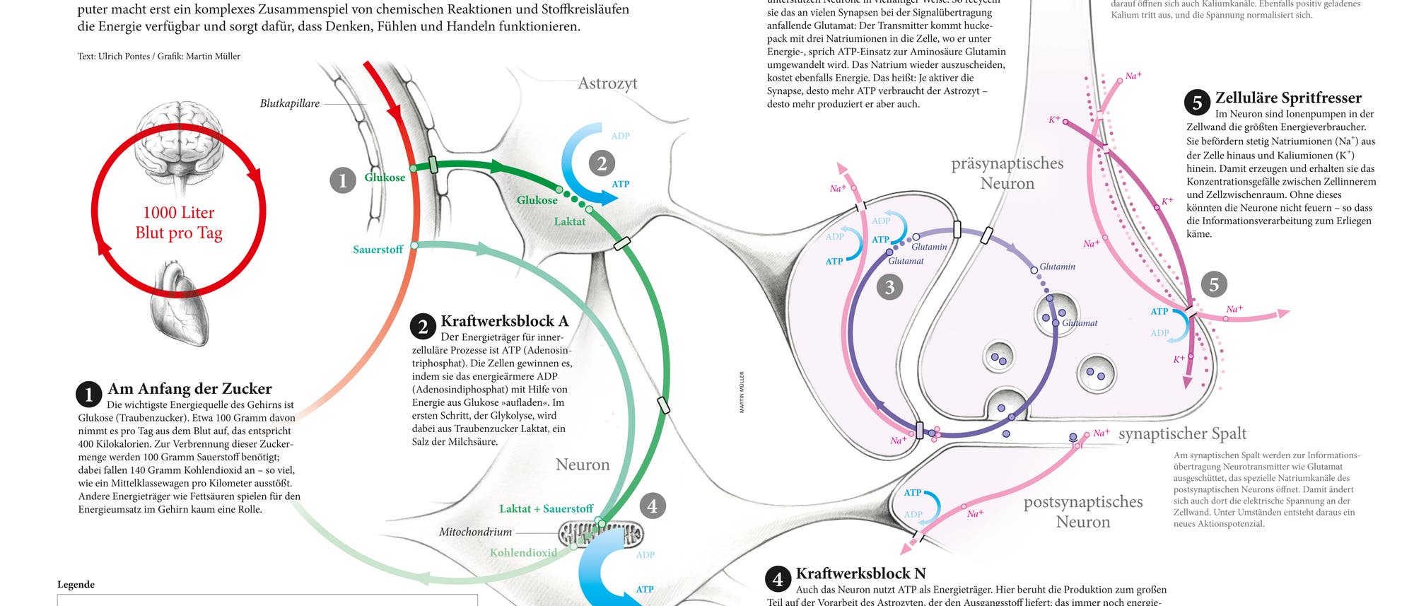 Infografik Energiehunger Infografik Energiehunger