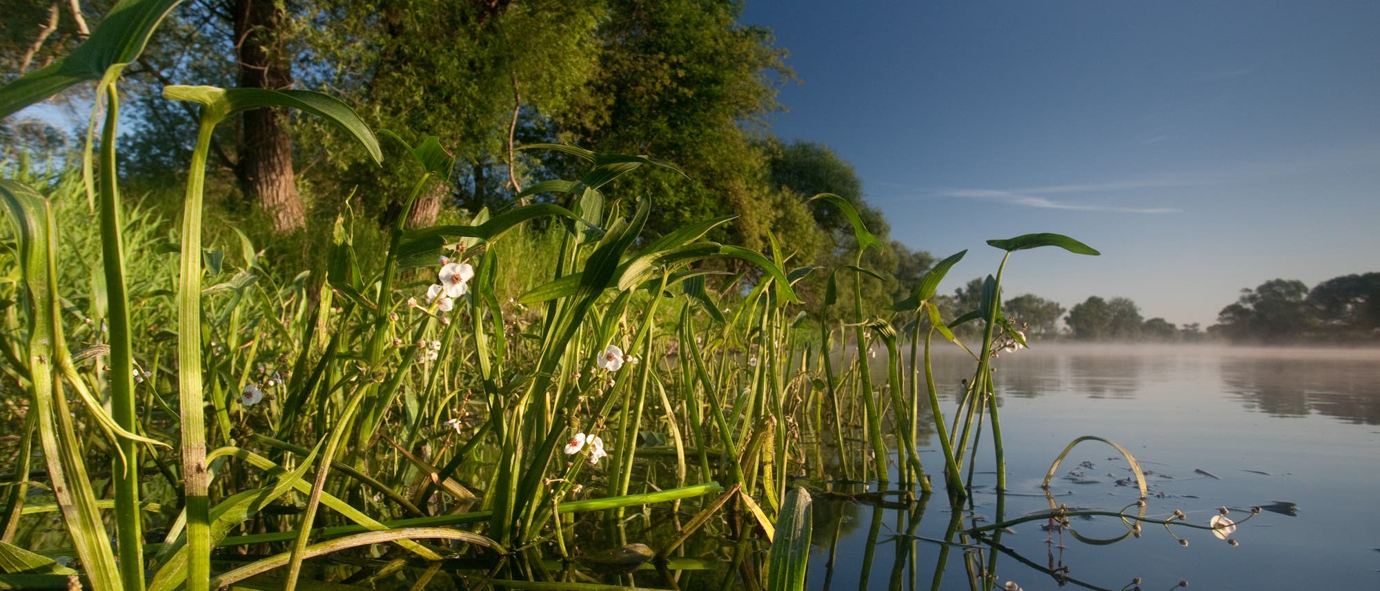 Romantische Havel Romantische Havel