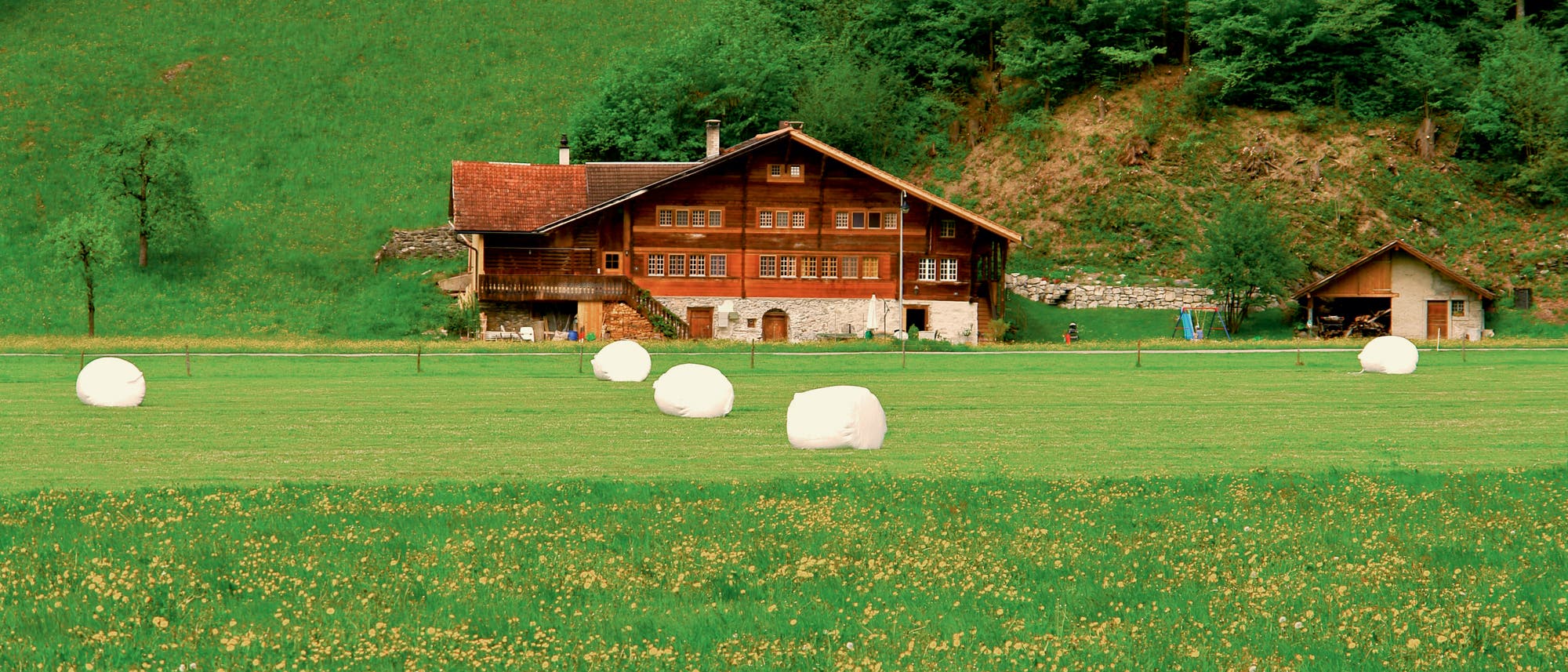 Trügerisches Idyll Trügerisches Idyll