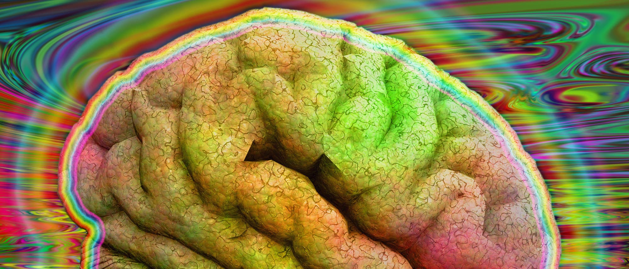Psychedelisches Gehirn Psychedelisches Gehirn