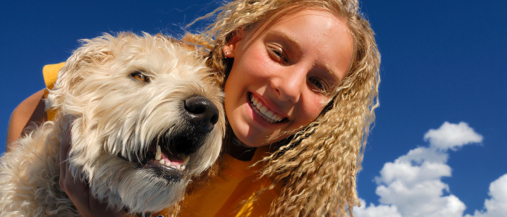 Hund und Mensch Hund und Mensch