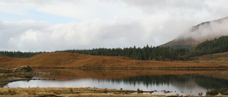 Moorlandschaft Moorlandschaft