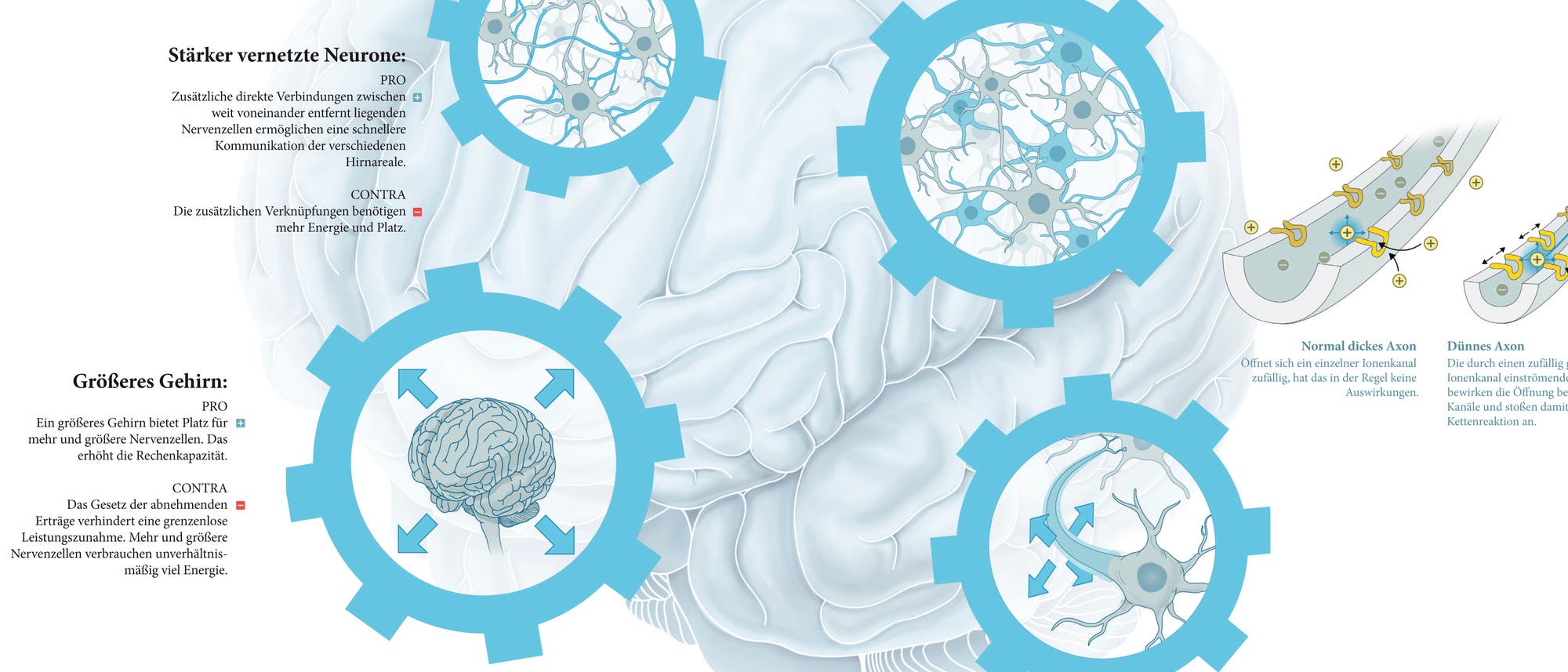 Infografik Intelligenz Infografik Intelligenz