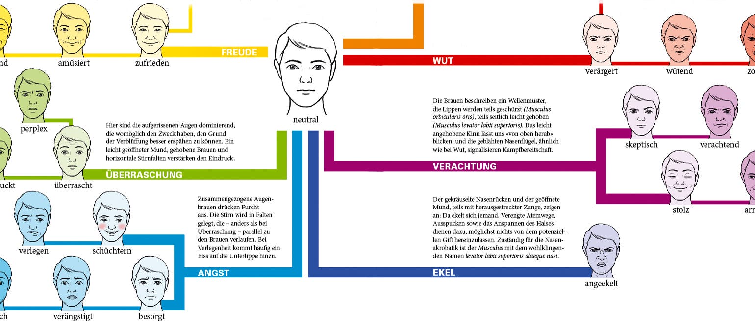 Infografik GuG 6/17: Gefühlsnavigator