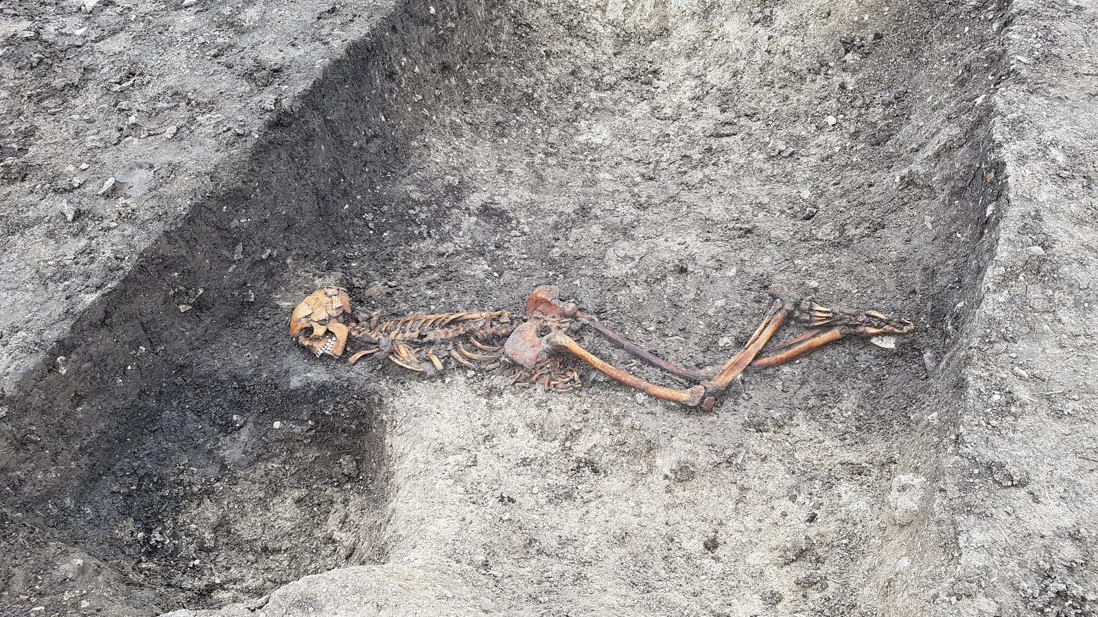 Skelett in einem Graben mit dem Gesicht nach unten und gefesselten Händen.