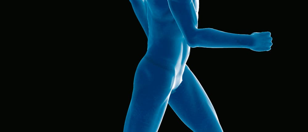 Wahres Hirnjogging Wahres Hirnjogging