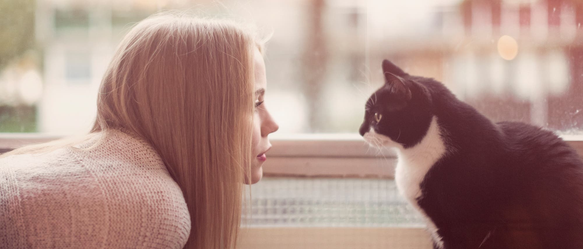 Frau sieht Katze in die Augen Frau sieht Katze in die Augen