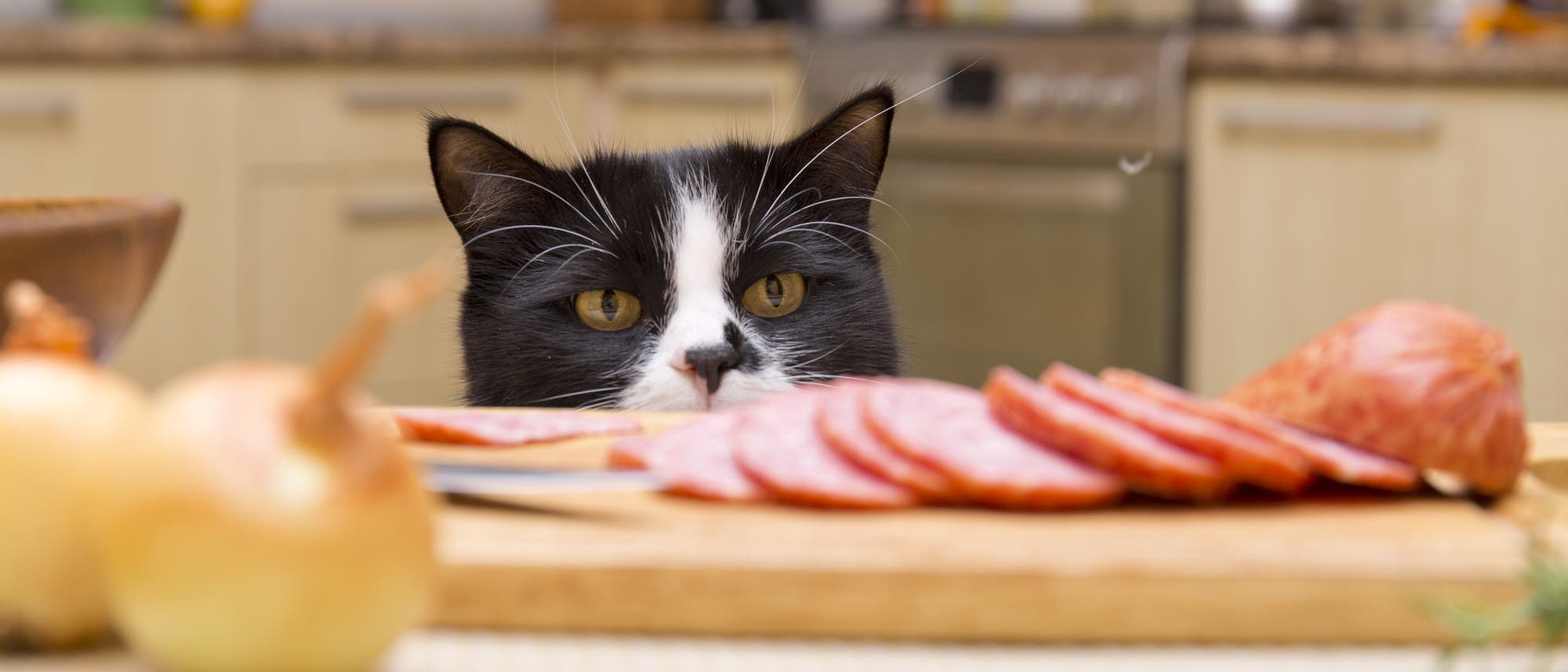 Eine Katze blickt über die Kante eines Tisches, auf dem frisch geschnittene Wurst liegt Eine Katze blickt über die Kante eines Tisches, auf dem frisch geschnittene Wurst liegt