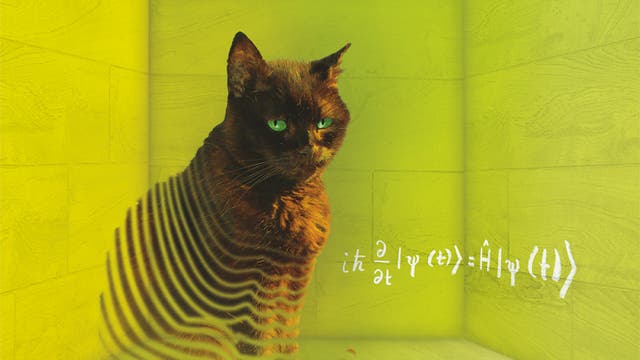 Schrödingers Katze