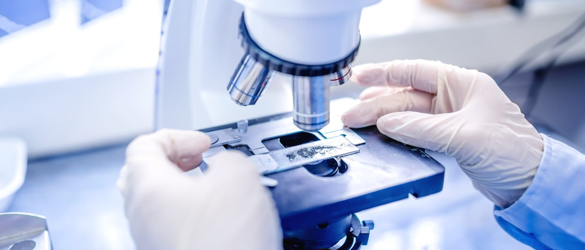Wissenschaftler im Labor Wissenschaftler im Labor