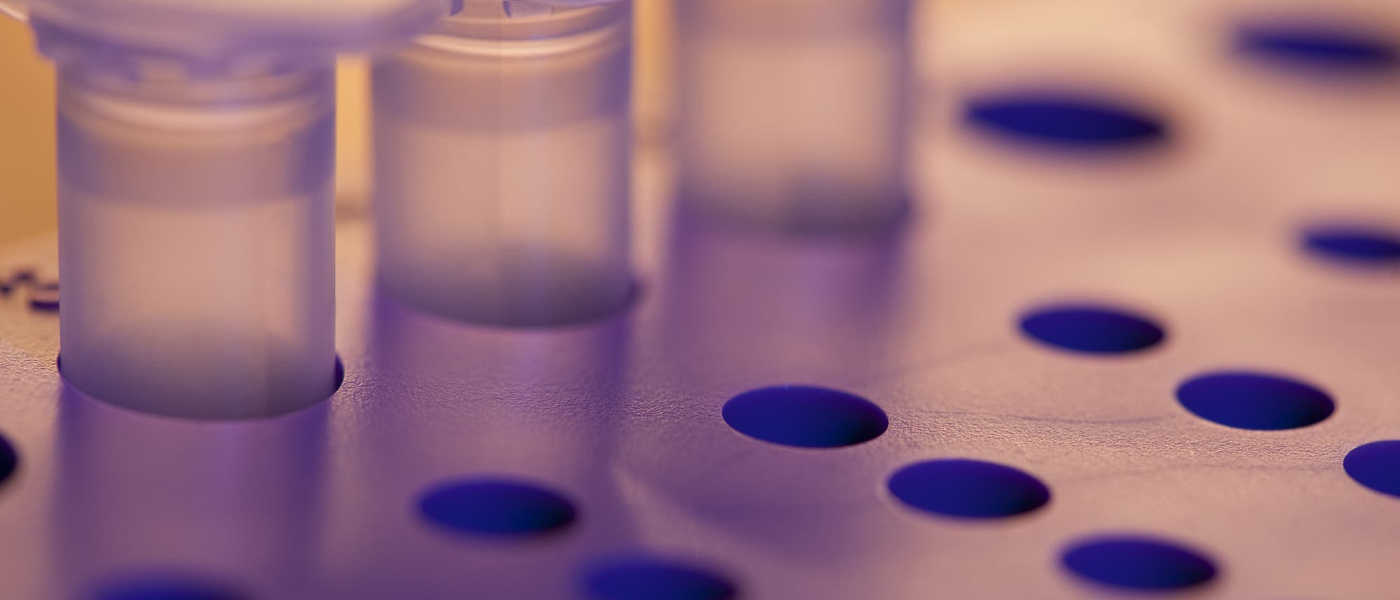 Eppendorf Eppendorf