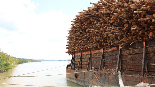 Holztransport in Borneo