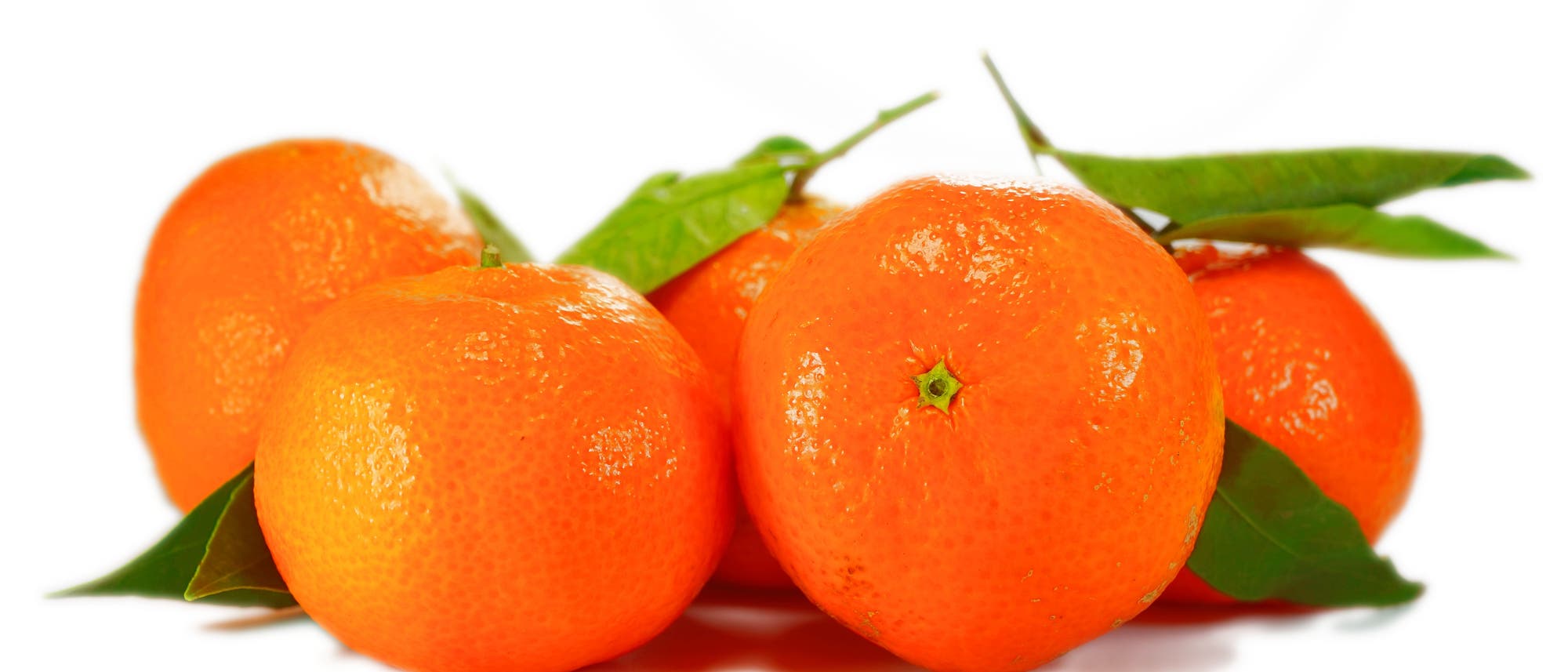 Mandarinen Mandarinen