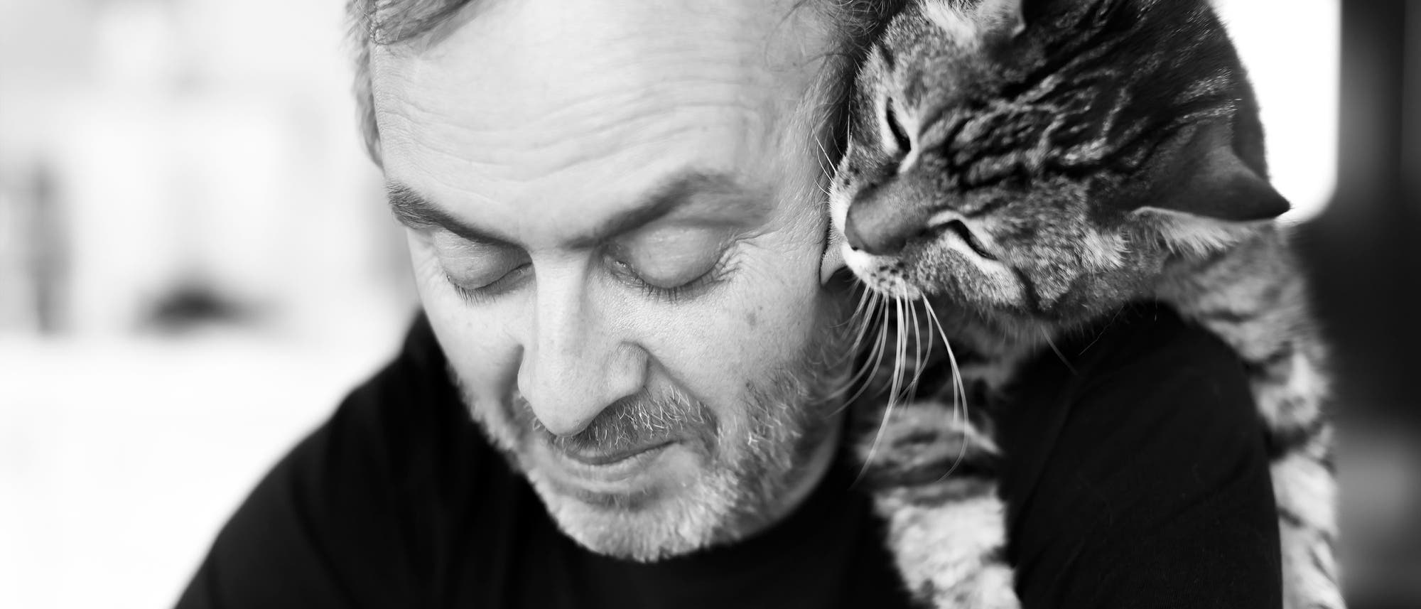 Katze hängt über der Schulter eines Mannes und schleckt ihm die Wange Katze hängt über der Schulter eines Mannes und schleckt ihm die Wange