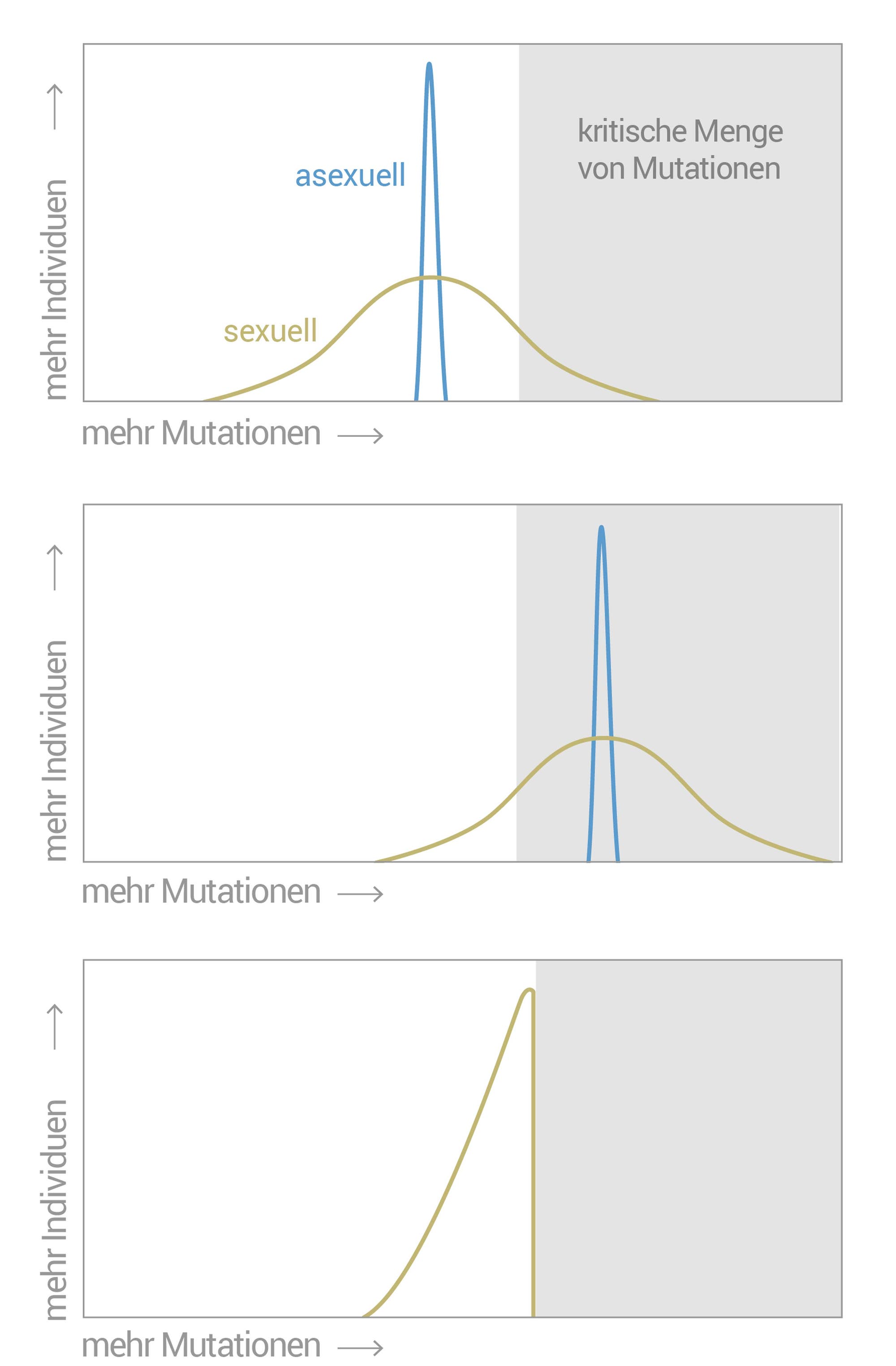 Sex und sein selektiver Vorteil gegen Mutationen