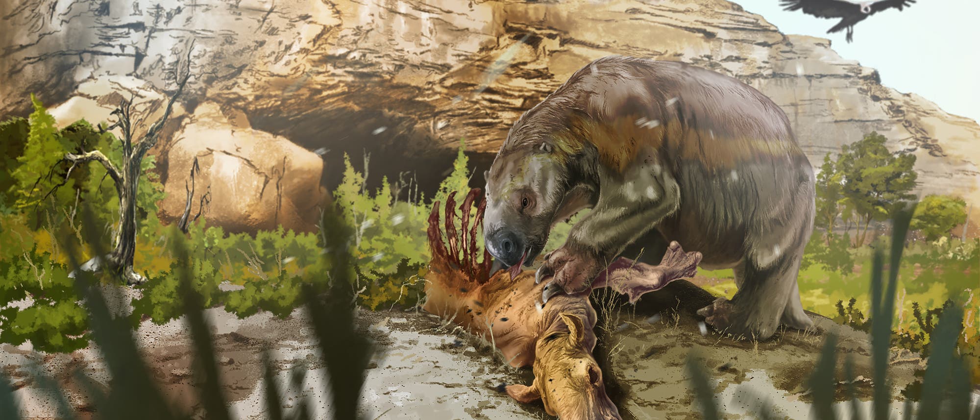 Mylodon frisst Aas Mylodon frisst Aas