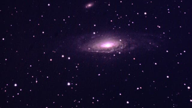 Die Spiralgalaxie NGC 7331 im Sternbild Pegasus