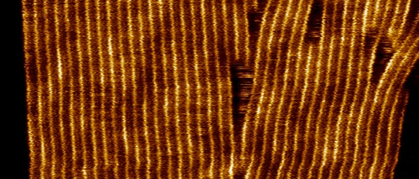 Höchst wählerische Nanokanäle Höchst wählerische Nanokanäle
