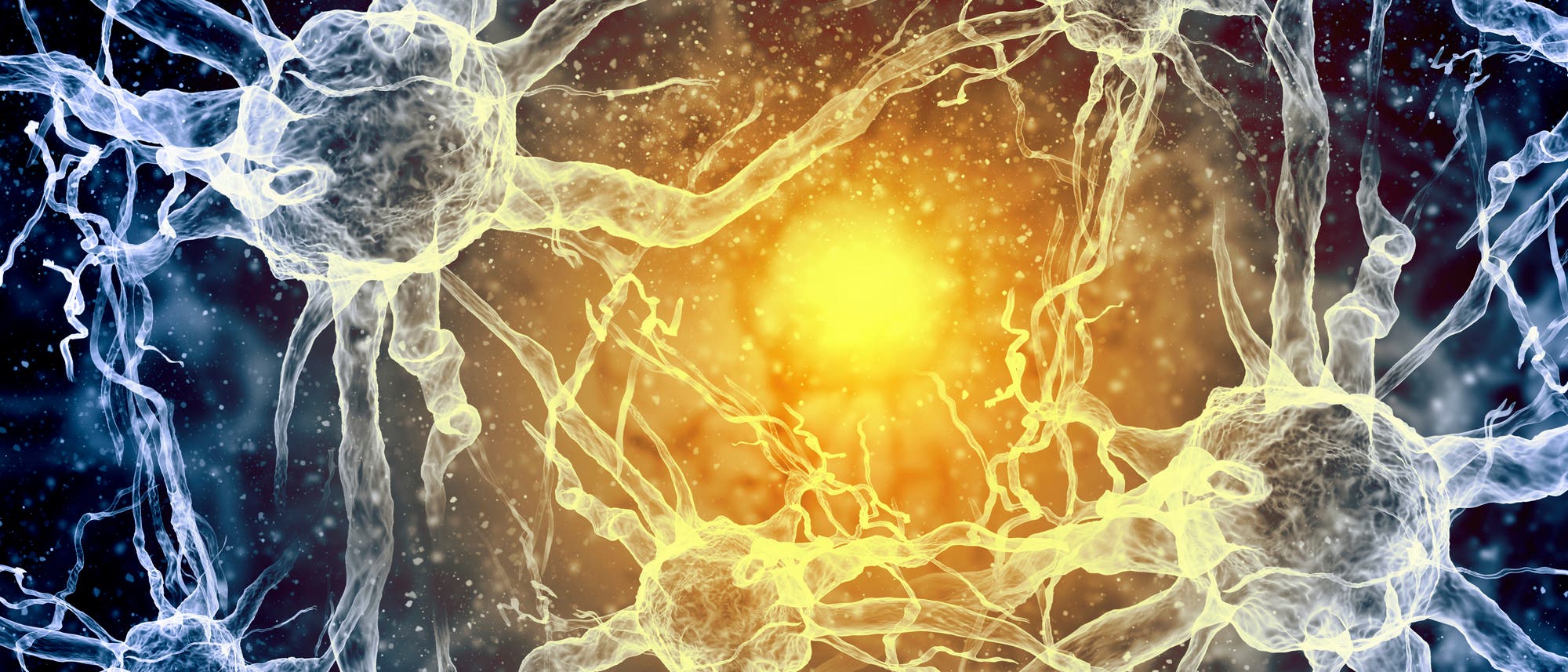 Neurone Neurone