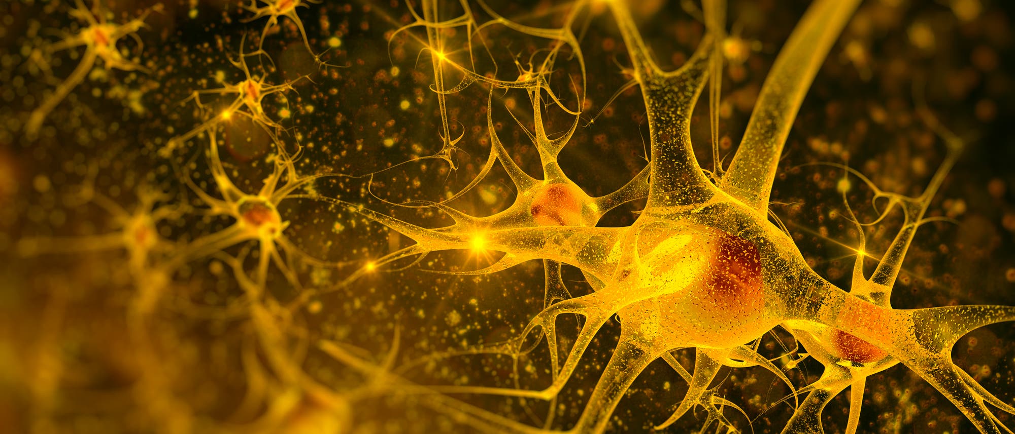 Neurone Neurone