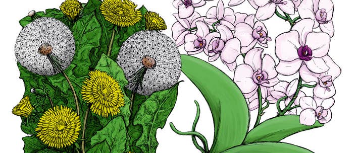 Blumenkinder Blumenkinder
