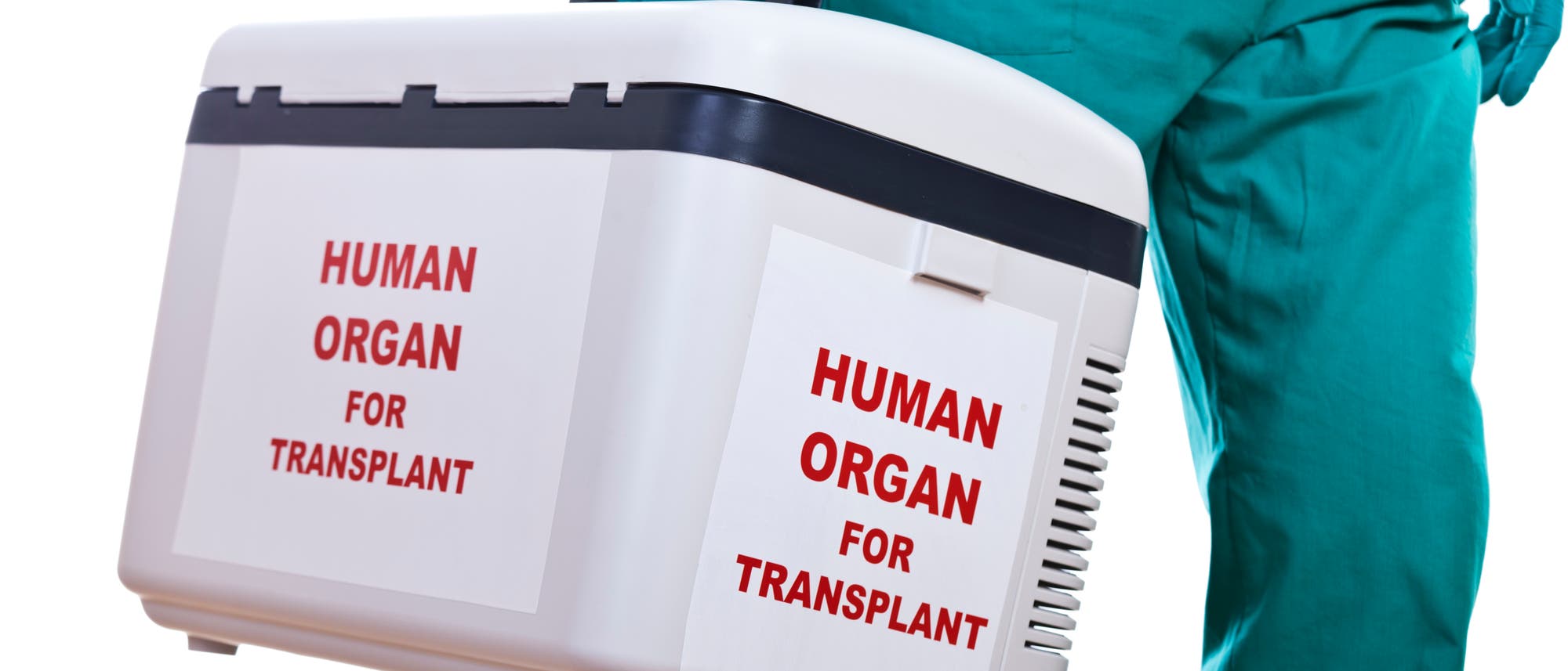 Organspende Organspende