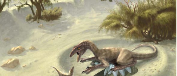 Brütender Oviraptor Brütender Oviraptor