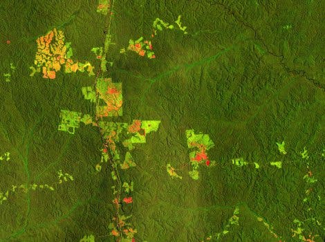 Forschungsgebiet am Amazonas