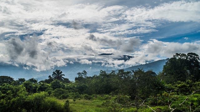 Sekundärwald am Vulkan Turrialba in Costa Rica