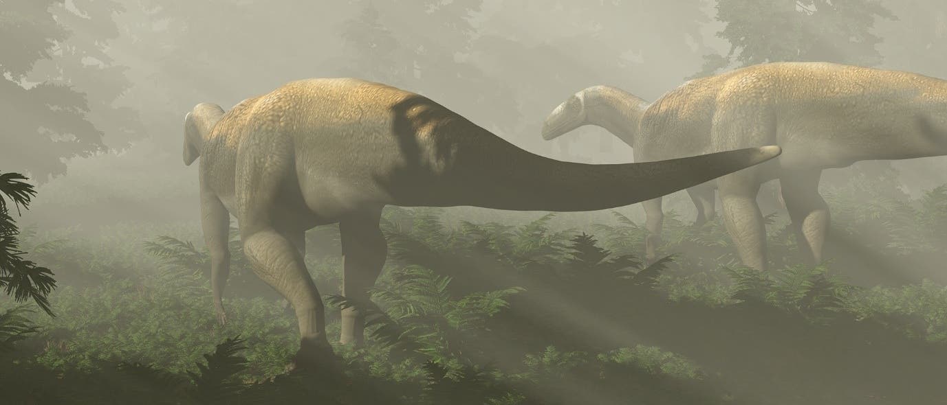 Künstlerische Darstellung des fraglichen Dinosauriers Künstlerische Darstellung des fraglichen Dinosauriers