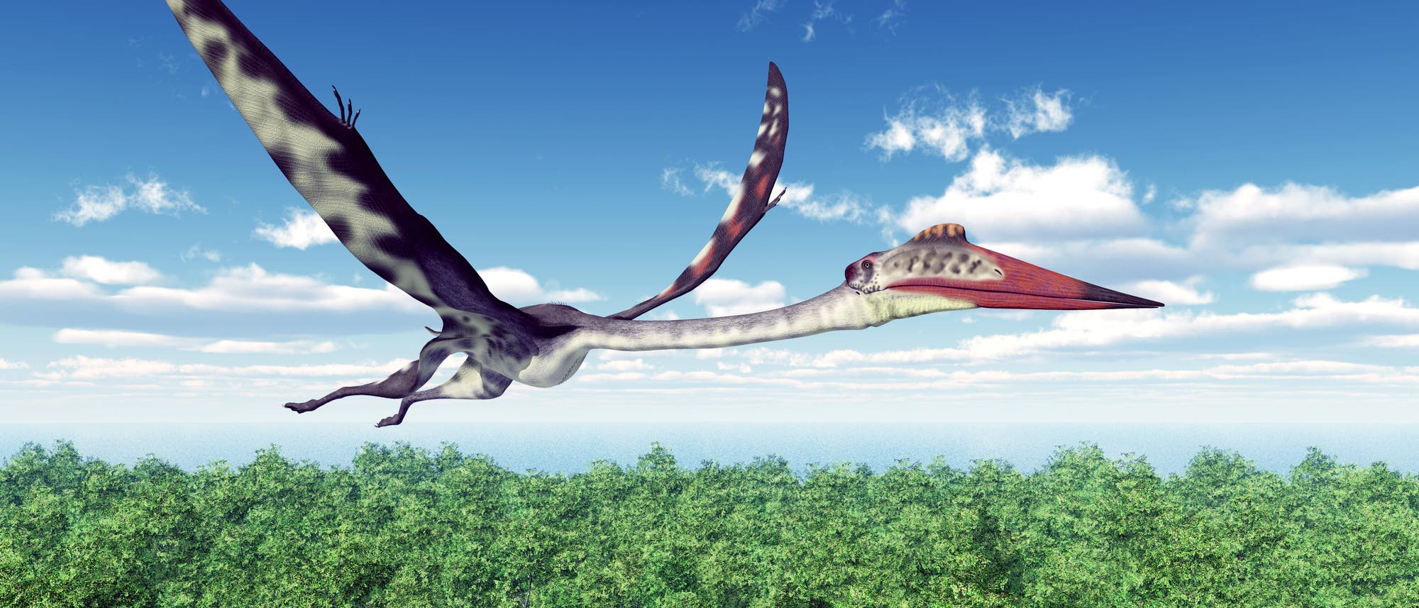 Ein Pterosaurier namens Quetzalcoatlus Ein Pterosaurier namens Quetzalcoatlus
