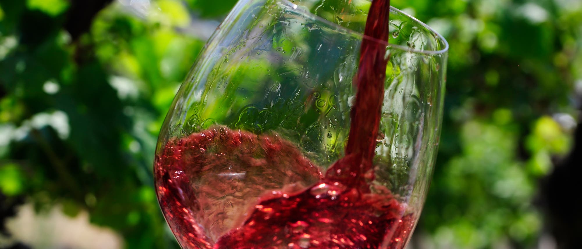 Rotwein Verkostung Rotwein Verkostung