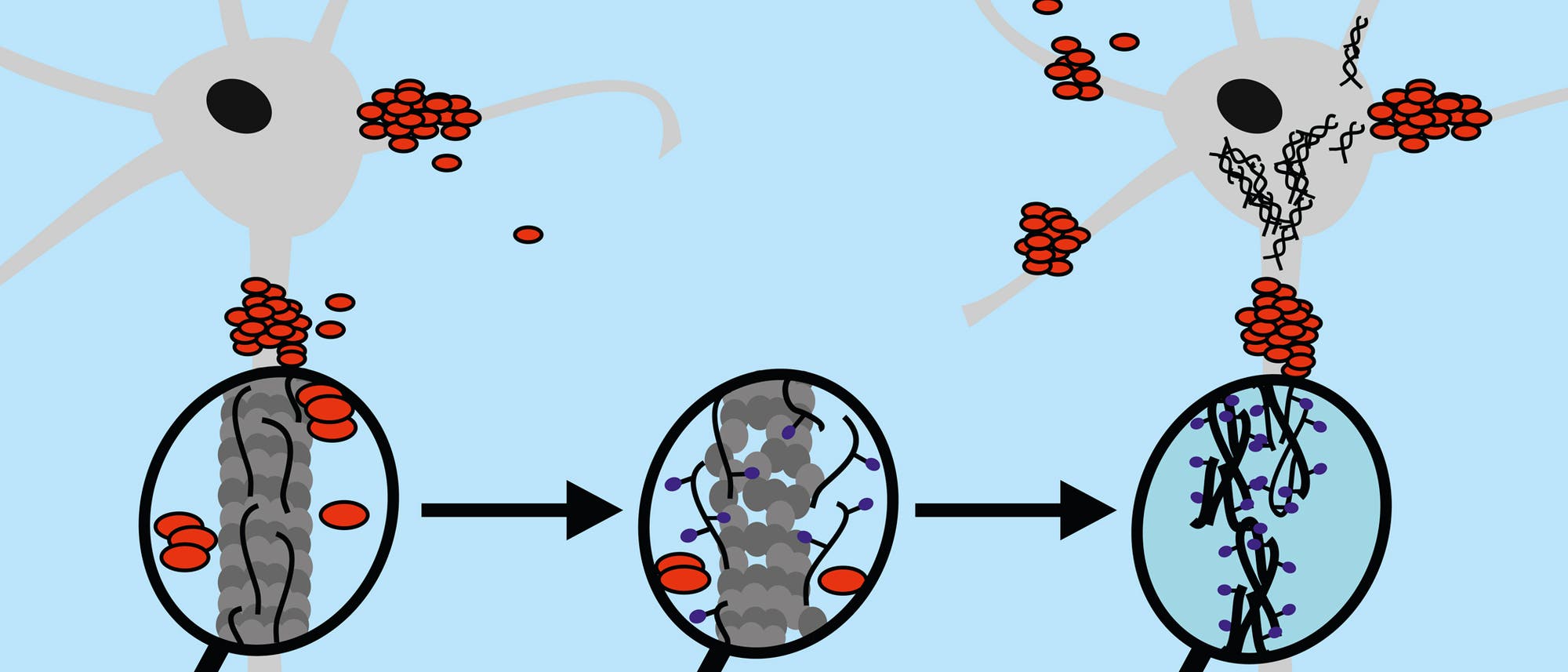 Tau-Moleküle Tau-Moleküle