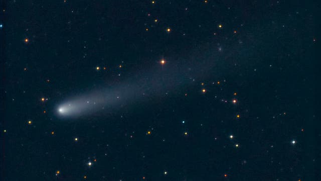Komet 43P mit sichtbarem Schweif