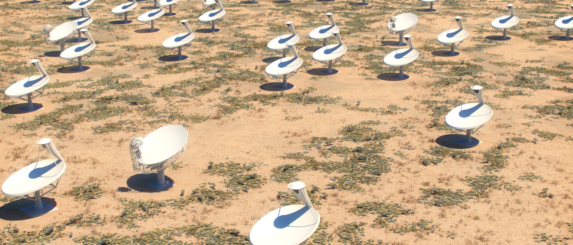 Parabolantennenfeld des Square Kilometre Array in Südafrika Parabolantennenfeld des Square Kilometre Array in Südafrika