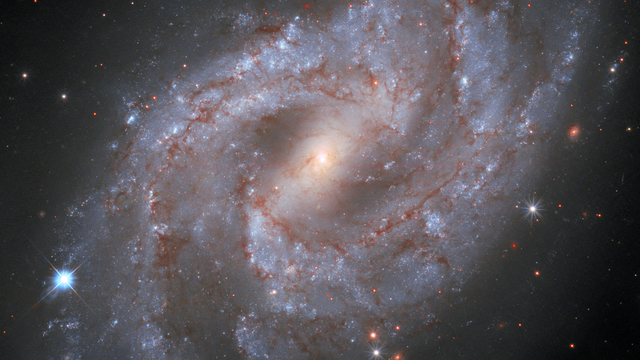 In der Galaxie NGC 2525 hat sich eine Supernova ereignet (links unten), wie ein Bild des Hubble-Teleskops zeigt. 