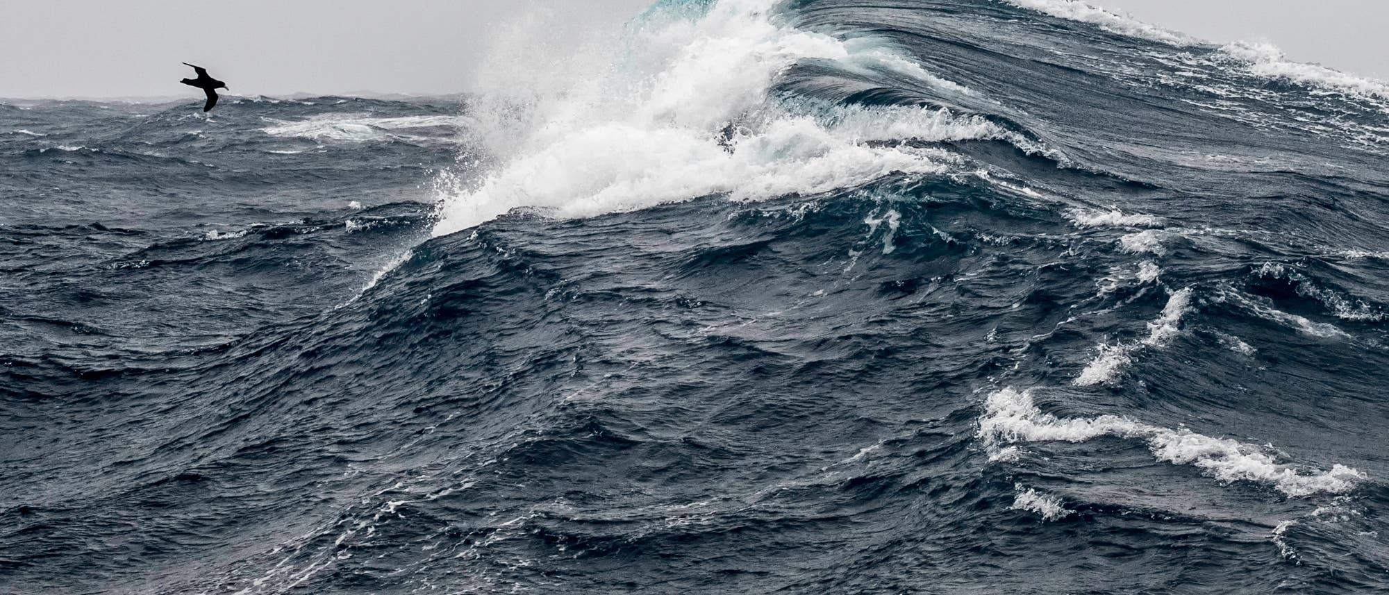 Sturm wühlt das Wasser im Südpolarmeer auf Sturm wühlt das Wasser im Südpolarmeer auf