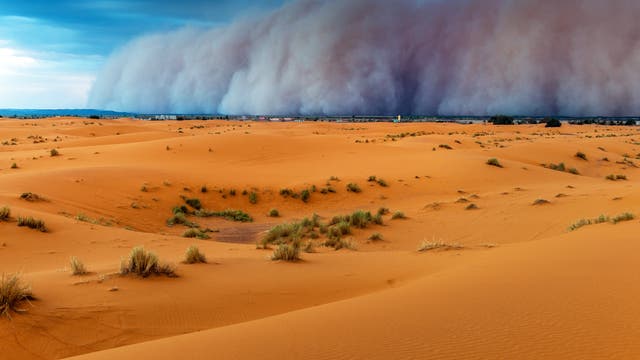 In der Wüste wirbeln Winde Wolken aus Sand und Staub oft in beträchtliche Höhen, so wie bei diesem Sturm, der bei einer Siedlung in Marokko aufzieht.