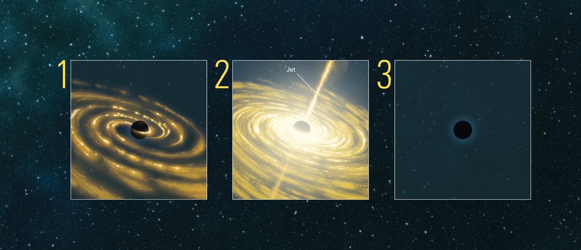 Ein TDE ist das einzige Ereignis, bei dem Astronomen verfolgen können, wie ein Schwarzes Loch aktiv wird, Material verzehrt und wieder zum Ruhezustand zurückkehrt. Aus der Zeit, die eine Akkretionsscheibe braucht, sich zu bilden (1), maximale Helligkeit zu erreichen (2) und zu verlöschen (3), lassen sich die Größe des zerstörten Sterns sowie Masse und Drehimpuls des Schwarzen Lochs erschließen. Außerdem können die Forscher Stoßwellen in der Scheibe sowie die Entstehung relativistischer Jets verfolgen – Teilchenströme, die fast mit Lichtgeschwindigkeit von den Polen des Schwarzen Lochs ausgehen.