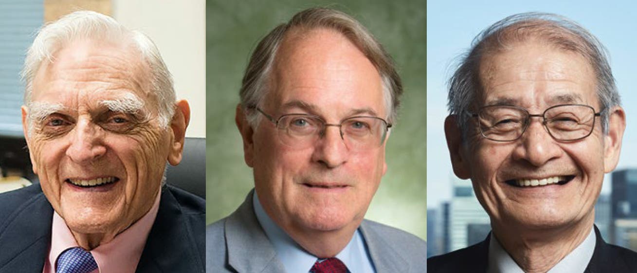 Chemie-Nobelpreisträger 2019 Goodenough, Whittingham und Yoshino Chemie-Nobelpreisträger 2019 Goodenough, Whittingham und Yoshino